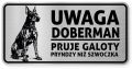 Uwaga pies tabliczka ostrzegawcza 20x10 Doberman
