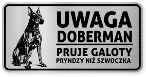 Uwaga pies tabliczka ostrzegawcza 20x10 Doberman