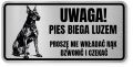 Uwaga pies tabliczka ostrzegawcza 20x10 Doberman