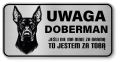 Uwaga pies tabliczka ostrzegawcza 20x10 Doberman