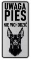 Uwaga pies tabliczka ostrzegawcza 10x20 Doberman