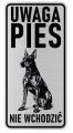 Uwaga pies tabliczka ostrzegawcza 10x20 Doberman