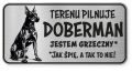 Uwaga pies tabliczka ostrzegawcza 20x10 Doberman