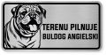 Uwaga pies tabliczka ostrzegawcza 20x10 Buldog Angielski