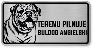 Uwaga pies tabliczka ostrzegawcza 20x10 Buldog Angielski