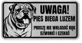 Uwaga pies tabliczka ostrzegawcza 20x10 Buldog Angielski