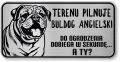 Uwaga pies tabliczka ostrzegawcza 20x10 Buldog Angielski