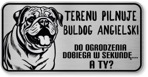 Uwaga pies tabliczka ostrzegawcza 20x10 Buldog Angielski