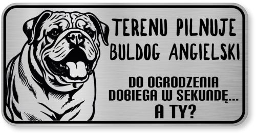 Uwaga pies tabliczka ostrzegawcza 20x10 Buldog Angielski