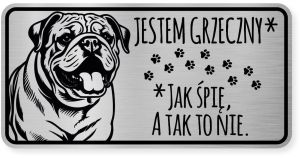 Uwaga pies tabliczka ostrzegawcza 20x10 Buldog Angielski
