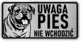 Uwaga pies tabliczka ostrzegawcza 20x10 Buldog Angielski