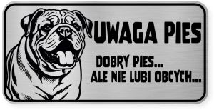 Uwaga pies tabliczka ostrzegawcza 20x10 Buldog Angielski