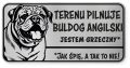 Uwaga pies tabliczka ostrzegawcza 20x10 Buldog Angielski