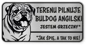 Uwaga pies tabliczka ostrzegawcza 20x10 Buldog Angielski