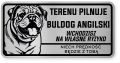 Uwaga pies tabliczka ostrzegawcza 20x10 Buldog Angielski