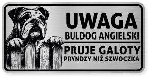 Uwaga pies tabliczka ostrzegawcza 20x10 Buldog Angielski
