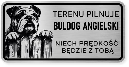 Uwaga pies tabliczka ostrzegawcza 20x10 Buldog Angielski