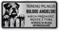Uwaga pies tabliczka ostrzegawcza 20x10 Buldog Angielski