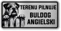 Uwaga pies tabliczka ostrzegawcza 20x10 Buldog Angielski