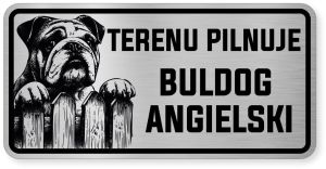 Uwaga pies tabliczka ostrzegawcza 20x10 Buldog Angielski