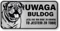 Uwaga pies tabliczka ostrzegawcza 20x10 Buldog Angielski