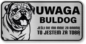 Uwaga pies tabliczka ostrzegawcza 20x10 Buldog Angielski