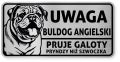 Uwaga pies tabliczka ostrzegawcza 20x10 Buldog Angielski