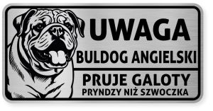 Uwaga pies tabliczka ostrzegawcza 20x10 Buldog Angielski