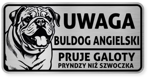 Uwaga pies tabliczka ostrzegawcza 20x10 Buldog Angielski