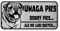 Uwaga pies tabliczka ostrzegawcza 20x10 Buldog Angielski