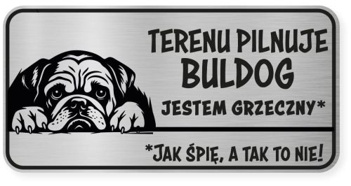 Uwaga pies tabliczka ostrzegawcza 20x10 Buldog Angielski