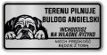 Uwaga pies tabliczka ostrzegawcza 20x10 Buldog Angielski