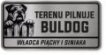 Uwaga pies tabliczka ostrzegawcza 20x10 Buldog Angielski