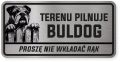 Uwaga pies tabliczka ostrzegawcza 20x10 Buldog Angielski