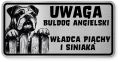 Uwaga pies tabliczka ostrzegawcza 20x10 Buldog Angielski