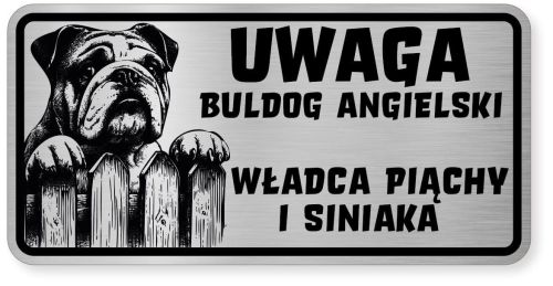Uwaga pies tabliczka ostrzegawcza 20x10 Buldog Angielski