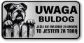 Uwaga pies tabliczka ostrzegawcza 20x10 Buldog Angielski