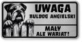 Uwaga pies tabliczka ostrzegawcza 20x10 Buldog Angielski