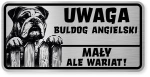 Uwaga pies tabliczka ostrzegawcza 20x10 Buldog Angielski