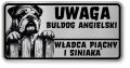 Uwaga pies tabliczka ostrzegawcza 20x10 Buldog Angielski