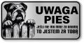 Uwaga pies tabliczka ostrzegawcza 20x10 Buldog Angielski