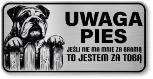 Uwaga pies tabliczka ostrzegawcza 20x10 Buldog Angielski