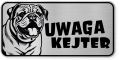 Uwaga pies tabliczka ostrzegawcza 20x10 Buldog Angielski