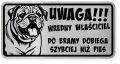 Uwaga pies tabliczka ostrzegawcza 20x10 Buldog Angielski