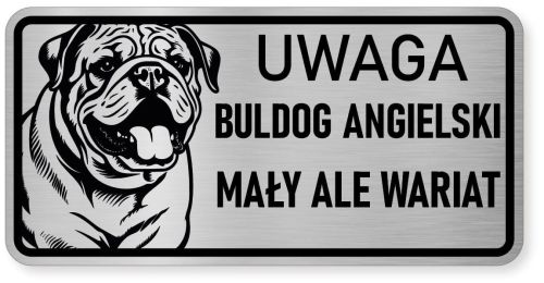 Uwaga pies tabliczka ostrzegawcza 20x10 Buldog Angielski