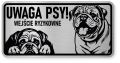 Uwaga pies tabliczka ostrzegawcza 20x10 Buldog Angielski