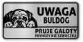 Uwaga pies tabliczka ostrzegawcza 20x10 Buldog Angielski