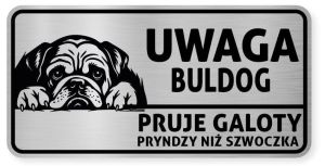 Uwaga pies tabliczka ostrzegawcza 20x10 Buldog Angielski