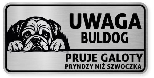 Uwaga pies tabliczka ostrzegawcza 20x10 Buldog Angielski