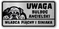 Uwaga pies tabliczka ostrzegawcza 20x10 Buldog Angielski
